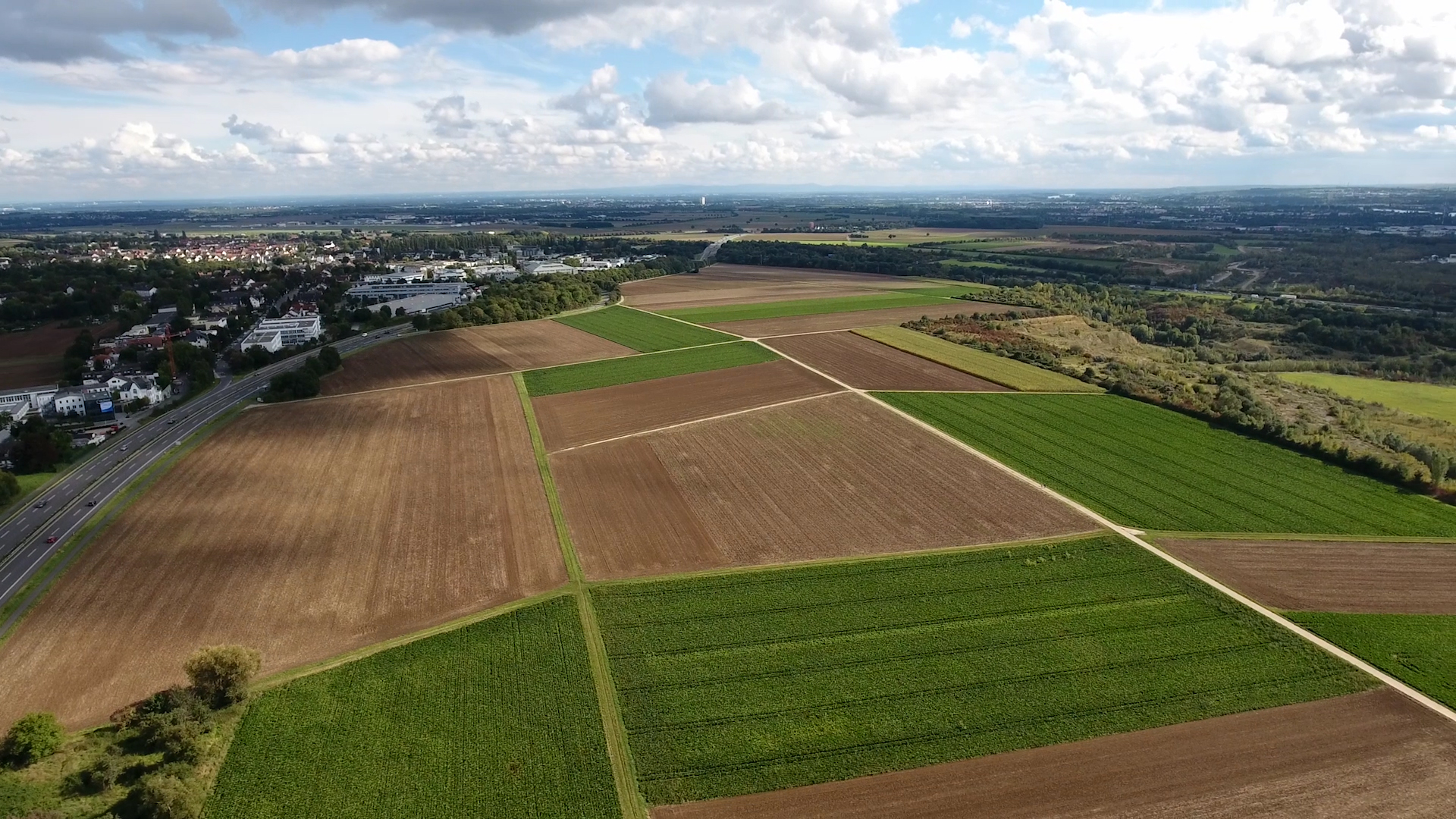 Blick über das Gebiet Ostfeld